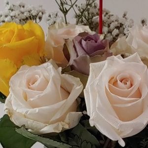 Meet your Posher, Tracey